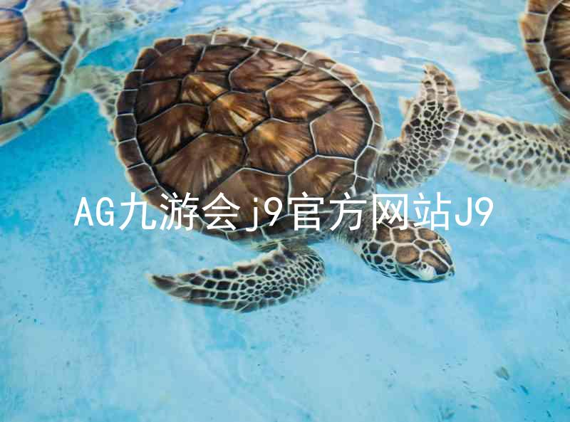 AG九游会j9官方网站J9