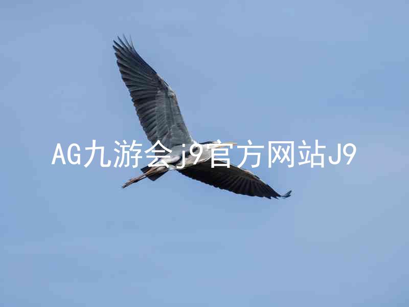 AG九游会j9官方网站J9